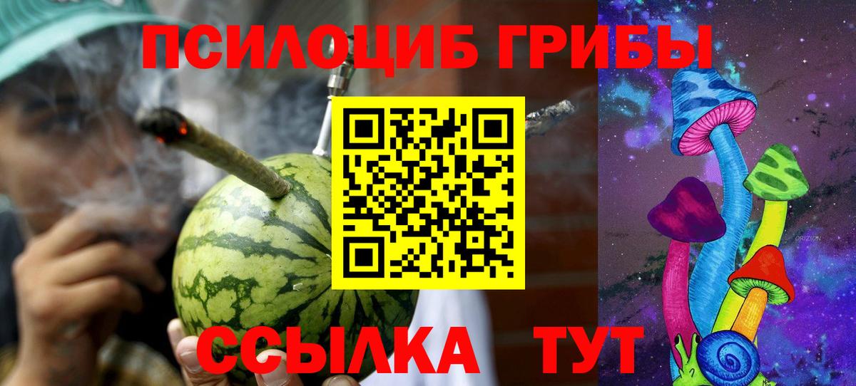 Галлюциногенные грибы GOLDEN TEACHER Тында