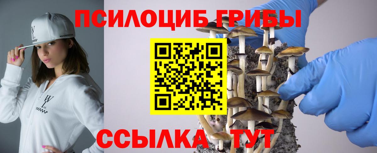 Галлюциногенные грибы MAGIC MUSHROOMS  Галлюциногенные грибы ЛСД  Вход с VPN  Тында 